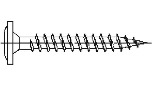 Fassadenschrauben V2A Torx 4×30mm